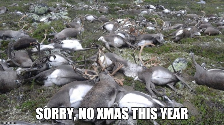 Reindeer killed by lightning | SORRY, NO XMAS THIS YEAR | image tagged in reindeer killed by lightning | made w/ Imgflip meme maker