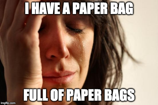 First World Problems | I HAVE A PAPER BAG; FULL OF PAPER BAGS | image tagged in memes,first world problems | made w/ Imgflip meme maker