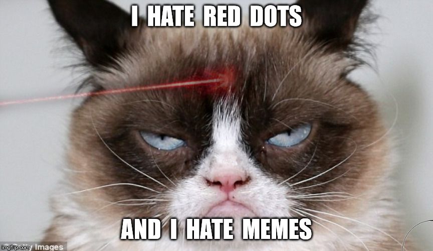 I  HATE  RED  DOTS AND  I  HATE  MEMES | made w/ Imgflip meme maker