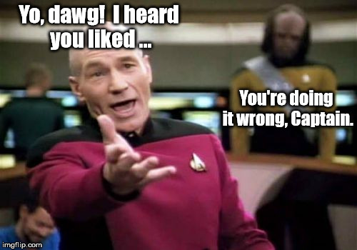 Picard heard you liked ... | Yo, dawg!  I heard you liked ... You're doing it wrong, Captain. | image tagged in memes,picard wtf,yo dawg heard you,yo dawg,meme | made w/ Imgflip meme maker
