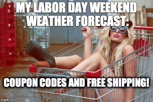 Girl-shopping-cart-1 | MY LABOR DAY WEEKEND WEATHER FORECAST:; COUPON CODES AND FREE SHIPPING! | image tagged in girl-shopping-cart-1 | made w/ Imgflip meme maker
