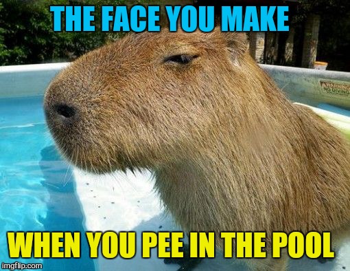 THE FACE YOU MAKE WHEN YOU PEE IN THE POOL | made w/ Imgflip meme maker