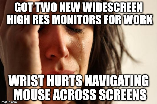 First World Problems Meme | GOT TWO NEW WIDESCREEN HIGH RES MONITORS FOR WORK; WRIST HURTS NAVIGATING MOUSE ACROSS SCREENS | image tagged in memes,first world problems,AdviceAnimals | made w/ Imgflip meme maker