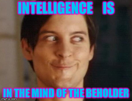 Spiderman Peter Parker Meme | INTELLIGENCE    IS; IN THE MIND OF THE BEHOLDER | image tagged in memes,spiderman peter parker | made w/ Imgflip meme maker