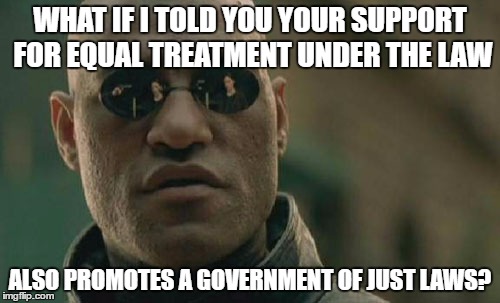 Matrix Morpheus Meme | WHAT IF I TOLD YOU YOUR SUPPORT FOR EQUAL TREATMENT UNDER THE LAW; ALSO PROMOTES A GOVERNMENT OF JUST LAWS? | image tagged in memes,matrix morpheus | made w/ Imgflip meme maker