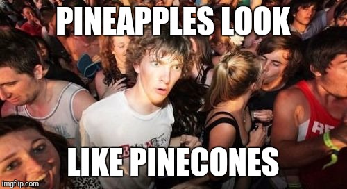 Sudden Clarity Clarence Meme | PINEAPPLES LOOK; LIKE PINECONES | image tagged in memes,sudden clarity clarence | made w/ Imgflip meme maker