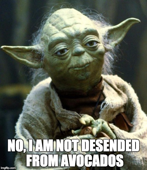 Star Wars Yoda |  NO, I AM NOT DESENDED FROM AVOCADOS | image tagged in memes,star wars yoda | made w/ Imgflip meme maker