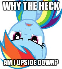 Angry Rainbow Dash | WHY THE HECK; AM I UPSIDE DOWN? | image tagged in angry rainbow dash | made w/ Imgflip meme maker
