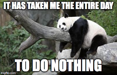lazy panda | IT HAS TAKEN ME THE ENTIRE DAY; TO DO NOTHING | image tagged in lazy panda | made w/ Imgflip meme maker