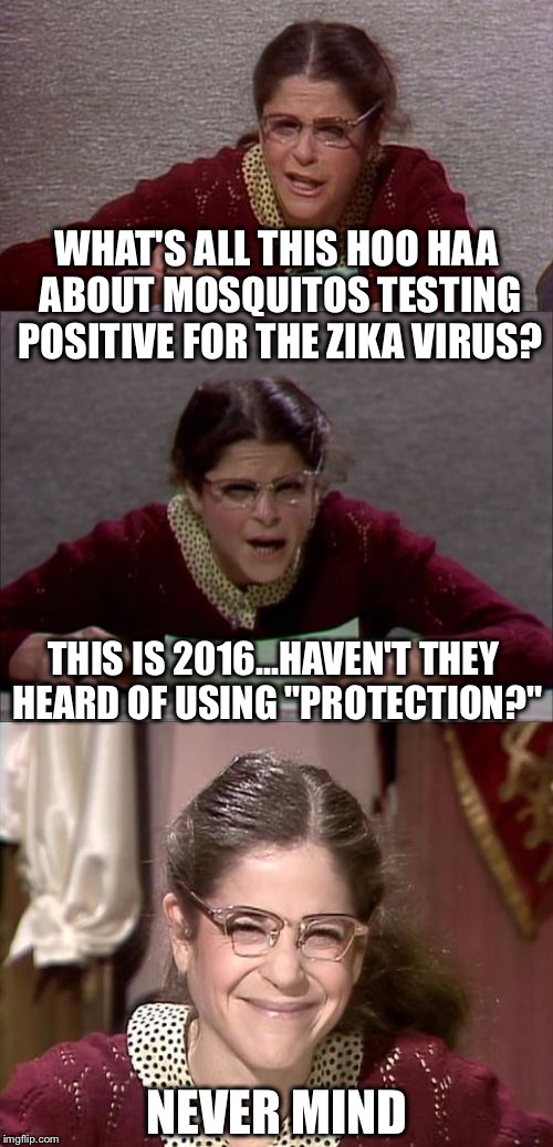 Still miss you Gilda | WHAT'S ALL THIS HOO HAA ABOUT MOSQUITOS TESTING POSITIVE FOR THE ZIKA VIRUS? THIS IS 2016...HAVEN'T THEY HEARD OF USING "PROTECTION?"; NEVER MIND | image tagged in bad pun gilda radner playing emily litella,memes,funny,zika virus | made w/ Imgflip meme maker