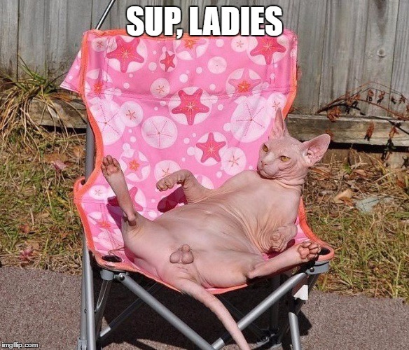 SUP, LADIES | image tagged in funny | made w/ Imgflip meme maker