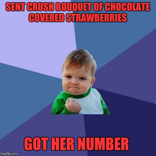 Success Kid | SENT CRUSH BOUQUET OF CHOCOLATE COVERED STRAWBERRIES; GOT HER NUMBER | image tagged in memes,success kid | made w/ Imgflip meme maker
