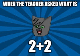 WHEN THE TEACHER ASKED WHAT IS; 2+2 | image tagged in dat face doe,warrior cats | made w/ Imgflip meme maker