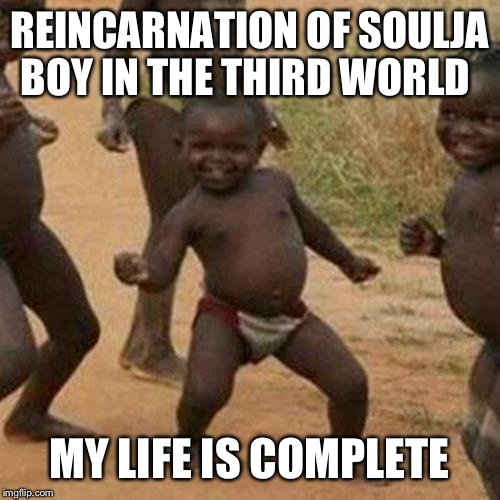 Third World Success Kid | REINCARNATION OF SOULJA BOY IN THE THIRD WORLD; MY LIFE IS COMPLETE | image tagged in memes,third world success kid | made w/ Imgflip meme maker