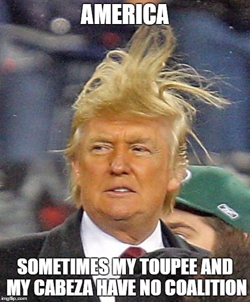 Donald Trumph hair | AMERICA; SOMETIMES MY TOUPEE AND MY CABEZA HAVE NO COALITION | image tagged in donald trumph hair | made w/ Imgflip meme maker