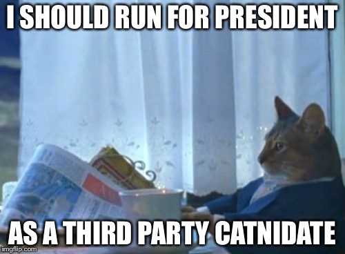 I Should Buy A Boat Cat Meme | I SHOULD RUN FOR PRESIDENT; AS A THIRD PARTY CATNIDATE | image tagged in memes,i should buy a boat cat | made w/ Imgflip meme maker