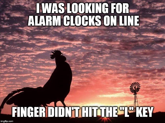 AlarmClock | I WAS LOOKING FOR ALARM CLOCKS ON LINE; FINGER DIDN'T HIT THE "L" KEY | image tagged in alarmclock | made w/ Imgflip meme maker