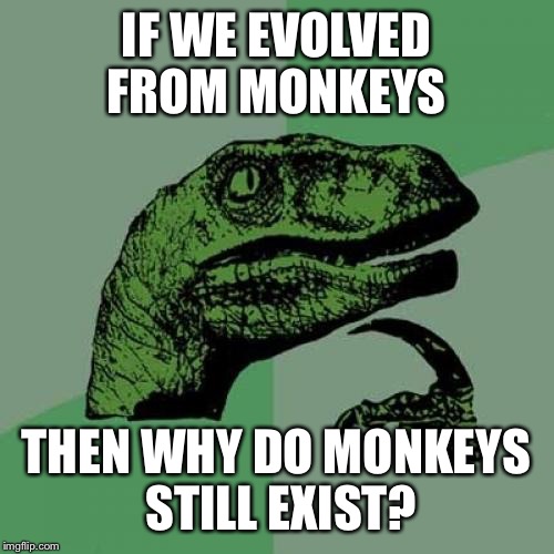 Question atheists  | IF WE EVOLVED FROM MONKEYS; THEN WHY DO MONKEYS STILL EXIST? | image tagged in memes,philosoraptor,funny,think,atheists,big bang theory | made w/ Imgflip meme maker