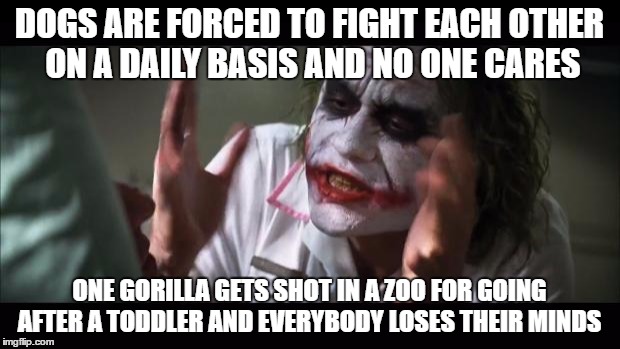 And everybody loses their minds | DOGS ARE FORCED TO FIGHT EACH OTHER ON A DAILY BASIS AND NO ONE CARES; ONE GORILLA GETS SHOT IN A ZOO FOR GOING AFTER A TODDLER AND EVERYBODY LOSES THEIR MINDS | image tagged in memes,and everybody loses their minds | made w/ Imgflip meme maker