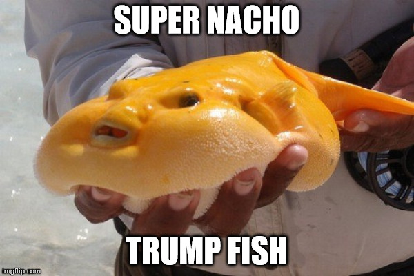 SUPER NACHO TRUMP FISH | made w/ Imgflip meme maker