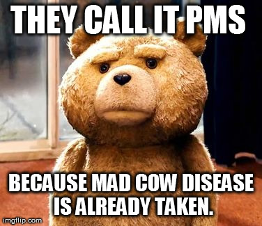 TED Meme | THEY CALL IT PMS  BECAUSE MAD COW DISEASE IS ALREADY TAKEN. | image tagged in memes,ted | made w/ Imgflip meme maker