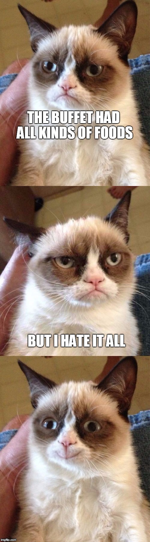 Bad Pun Grumpy Cat | THE BUFFET HAD ALL KINDS OF FOODS; BUT I HATE IT ALL | image tagged in bad pun grumpy cat,memes,play on words,funny,buffet | made w/ Imgflip meme maker