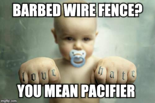 BARBED WIRE FENCE? YOU MEAN PACIFIER | made w/ Imgflip meme maker
