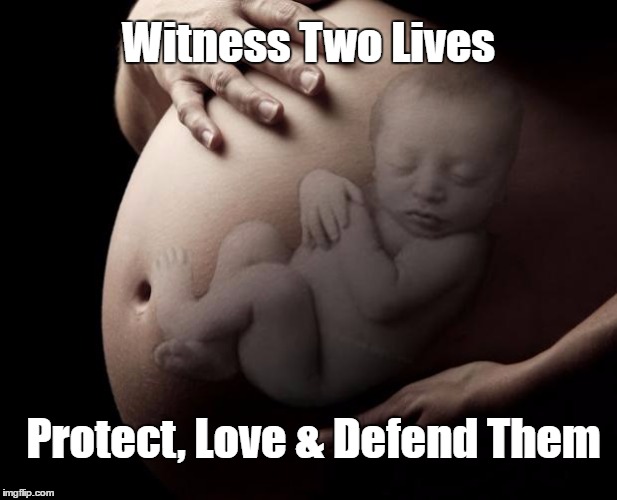 Pregnant Stomach | Witness Two Lives; Protect, Love & Defend Them | image tagged in pregnant stomach | made w/ Imgflip meme maker