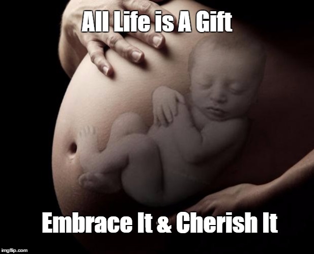 Pregnant Stomach | All Life is A Gift; Embrace It & Cherish It | image tagged in pregnant stomach | made w/ Imgflip meme maker