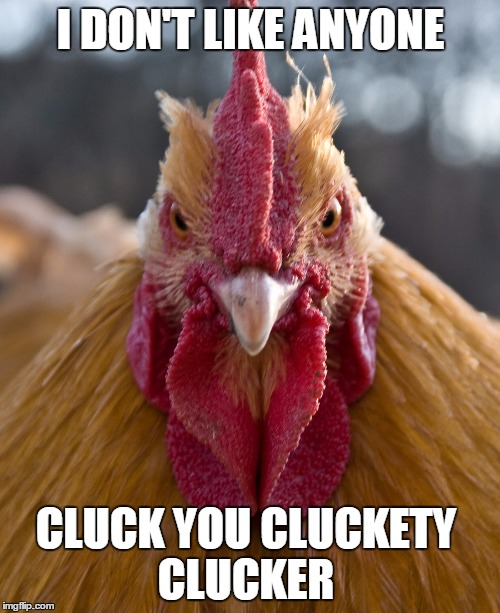 I DON'T LIKE ANYONE CLUCK YOU CLUCKETY CLUCKER | made w/ Imgflip meme maker