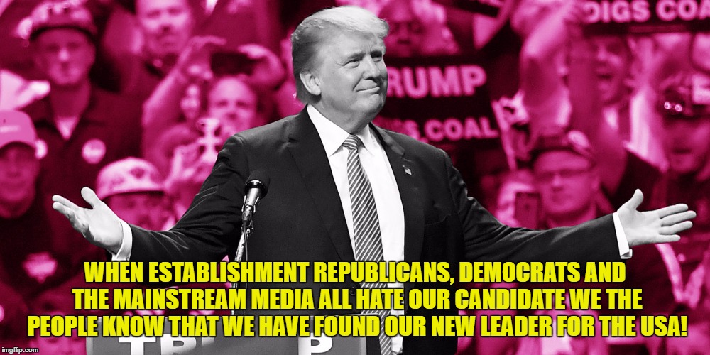 WHEN ESTABLISHMENT REPUBLICANS, DEMOCRATS AND THE MAINSTREAM MEDIA ALL HATE OUR CANDIDATE WE THE PEOPLE KNOW THAT WE HAVE FOUND OUR NEW LEADER FOR THE USA! | image tagged in trump | made w/ Imgflip meme maker