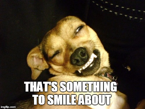 THAT'S SOMETHING TO SMILE ABOUT | made w/ Imgflip meme maker