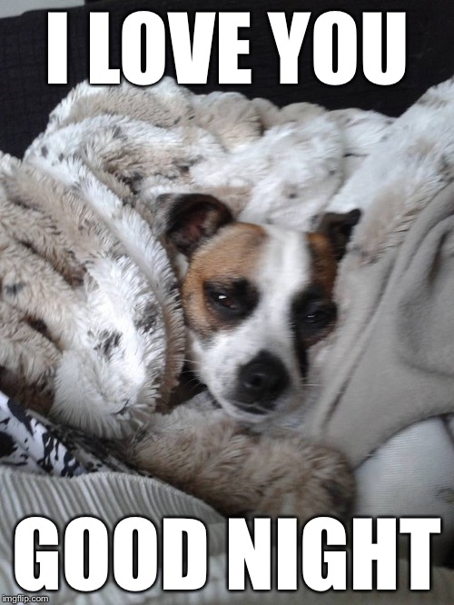 I LOVE YOU; GOOD NIGHT | image tagged in couches,memes | made w/ Imgflip meme maker
