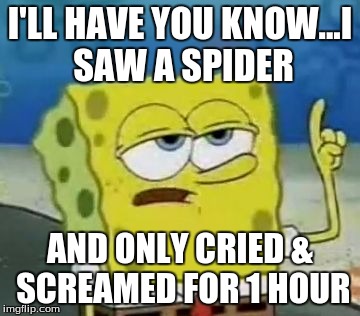 Spiders .-. | I'LL HAVE YOU KNOW...I SAW A SPIDER; AND ONLY CRIED & SCREAMED FOR 1 HOUR | image tagged in memes,ill have you know spongebob,spiders,when you see a spider | made w/ Imgflip meme maker
