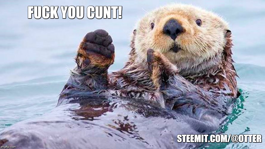 FUCK YOU CUNT! STEEMIT.COM/@OTTER | made w/ Imgflip meme maker