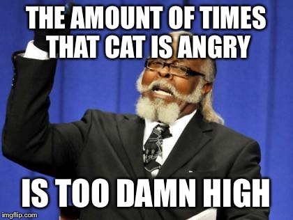 Too Damn High Meme | THE AMOUNT OF TIMES THAT CAT IS ANGRY IS TOO DAMN HIGH | image tagged in memes,too damn high | made w/ Imgflip meme maker