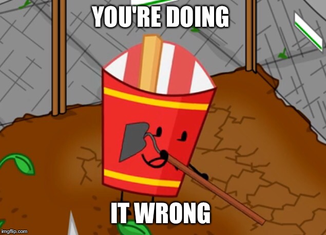 Fries does it wrong |  YOU'RE DOING; IT WRONG | image tagged in bfdi,idfb | made w/ Imgflip meme maker