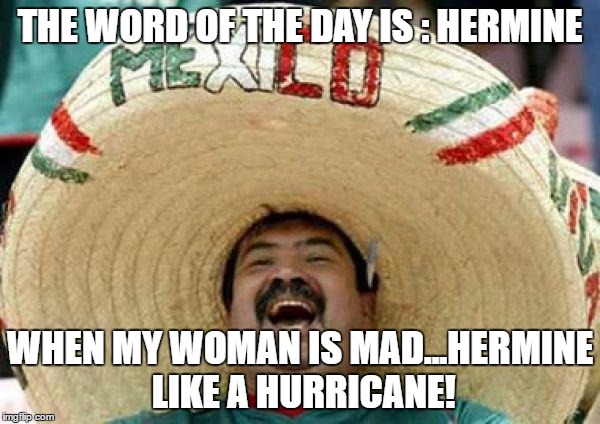 mexican | THE WORD OF THE DAY IS : HERMINE; WHEN MY WOMAN IS MAD...HERMINE LIKE A HURRICANE! | image tagged in mexican | made w/ Imgflip meme maker