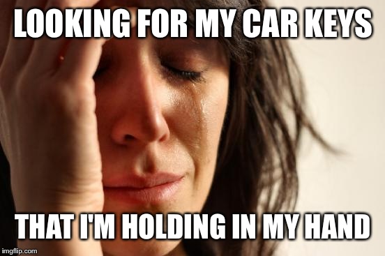 First World Problems Meme | LOOKING FOR MY CAR KEYS THAT I'M HOLDING IN MY HAND | image tagged in memes,first world problems | made w/ Imgflip meme maker