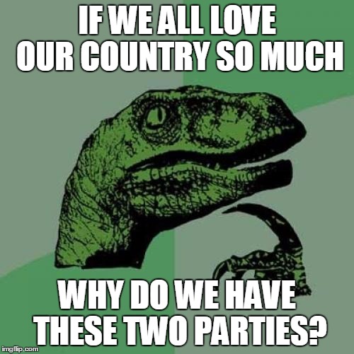 Philosoraptor | IF WE ALL LOVE OUR COUNTRY SO MUCH; WHY DO WE HAVE THESE TWO PARTIES? | image tagged in memes,philosoraptor | made w/ Imgflip meme maker
