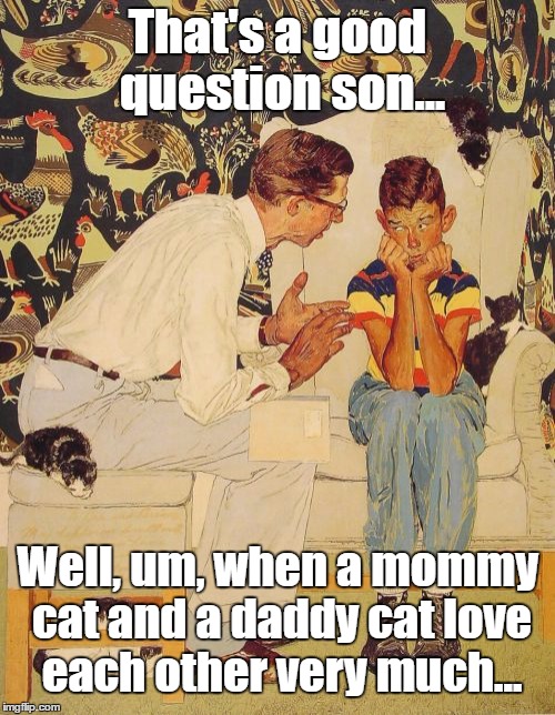 What's With All The Kittens!? | That's a good question son... Well, um, when a mommy cat and a daddy cat love each other very much... | image tagged in memes,the probelm is,kittens | made w/ Imgflip meme maker