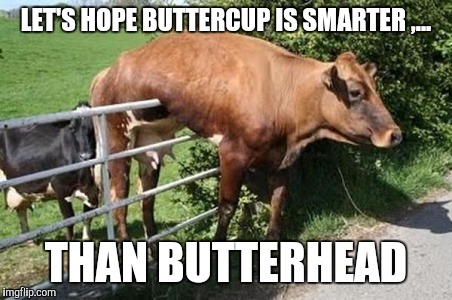 LET'S HOPE BUTTERCUP IS SMARTER ,... THAN BUTTERHEAD | made w/ Imgflip meme maker