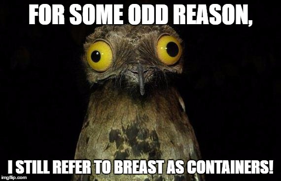 My Friends And Family Found It Funny... | FOR SOME ODD REASON, I STILL REFER TO BREAST AS CONTAINERS! | image tagged in memes,weird stuff i do potoo,containers,funny,family,friends | made w/ Imgflip meme maker