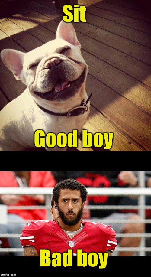 Only dogs get rewarded for sitting | Sit; Good boy; Bad boy | image tagged in colin kaepernick,dog,memes | made w/ Imgflip meme maker