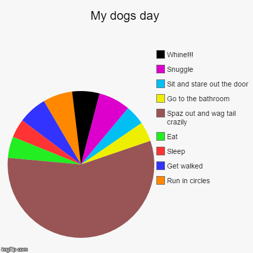 image tagged in funny,pie charts | made w/ Imgflip chart maker