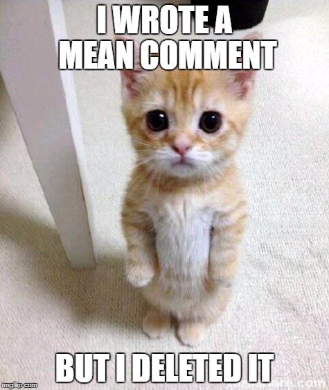 Not sure if cute apology, or Hillary Clinton | I WROTE A MEAN COMMENT; BUT I DELETED IT | image tagged in i wrote a mean email but i deleted it,cute cat or hillary clinton,big difference,wow | made w/ Imgflip meme maker