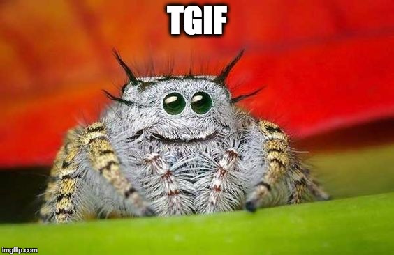 TGIF | image tagged in friday | made w/ Imgflip meme maker