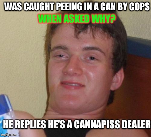 10 Guy Meme | WAS CAUGHT PEEING IN A CAN BY COPS; WHEN ASKED WHY? HE REPLIES HE'S A CANNAPISS DEALER | image tagged in memes,10 guy | made w/ Imgflip meme maker
