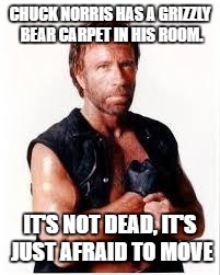Chuck Norris Flex | CHUCK NORRIS HAS A GRIZZLY BEAR CARPET IN HIS ROOM. IT'S NOT DEAD, IT'S JUST AFRAID TO MOVE | image tagged in chuck norris | made w/ Imgflip meme maker