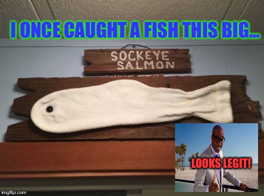 I Mean....Give 'Em A "C+" For Creativity | I ONCE CAUGHT A FISH THIS BIG... LOOKS LEGIT! | image tagged in memes,fishing,random | made w/ Imgflip meme maker